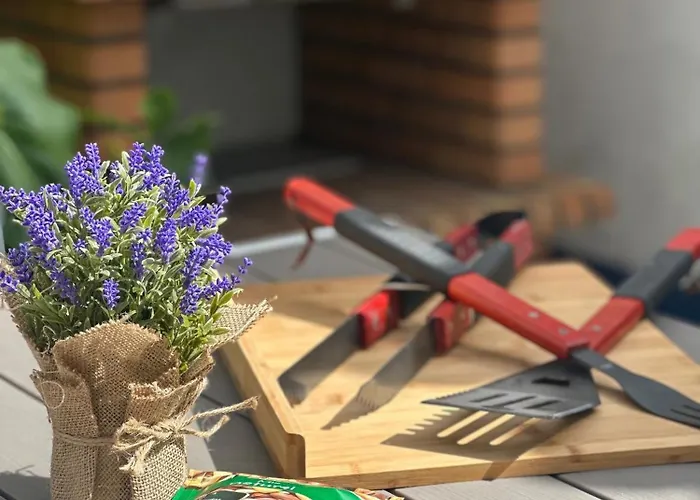 Villa Patio Privado Com Churrasqueira By Ferias Em Figueira *